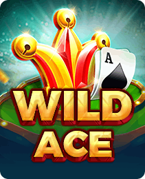 Wild Ace – Play on P77 App